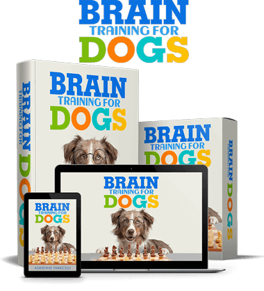 brain training 4 dogs
